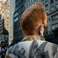 Bjane Levine
