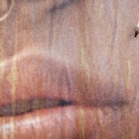 David Fidalgo