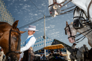 Boy and Horse in Andalusia