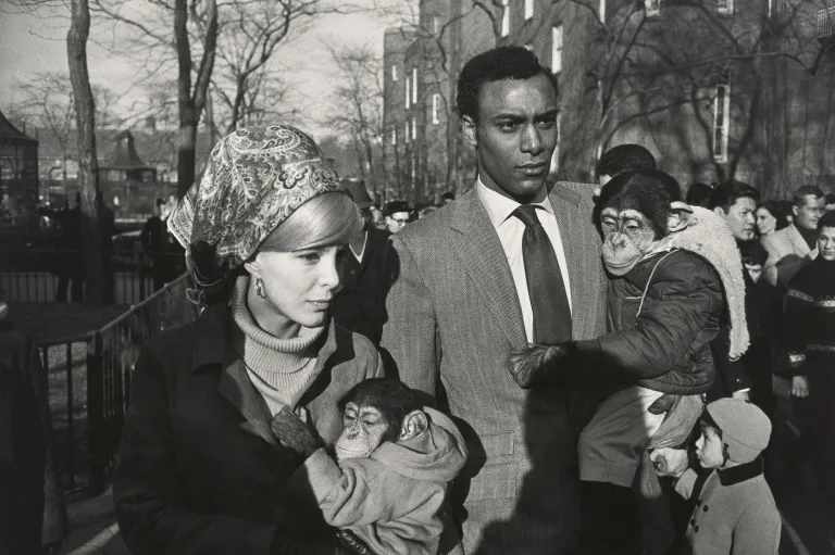 winogrand-monkey-couple