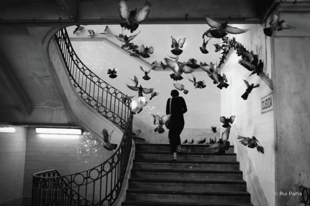Street Photographers Foundation Awards 2025
