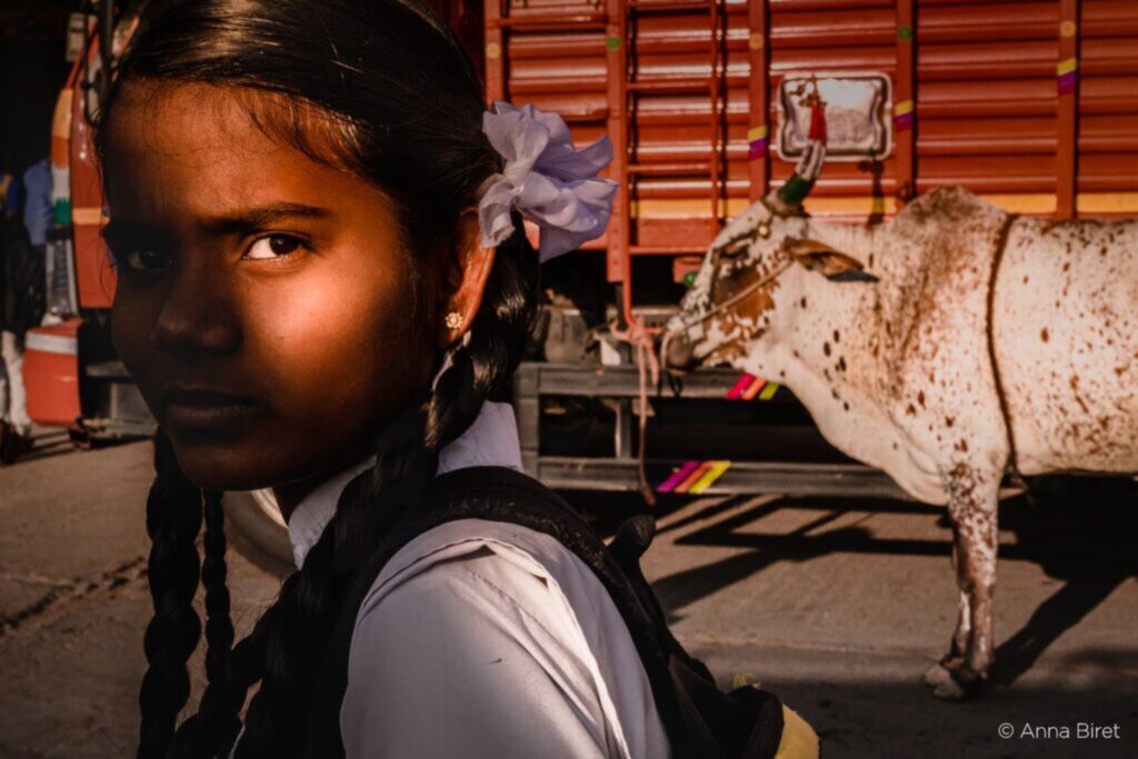 Awards 2025 Portrait