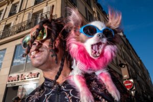 Todd Visser - Paw-risian Chic