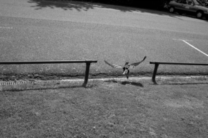 Bouwe Brouwer, The Great Escape